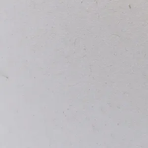 Inkjet Etiketten Papier glänzend ablösbar, (BxH)102mmx35m endlos, Kern:40mm ø100mm