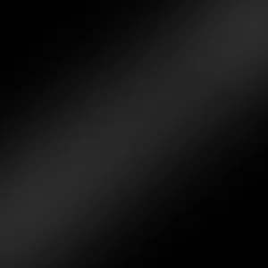 Laserdruck Etiketten Polyester schwarz glänzend, (BxH)125mmx130m endlos, Kern:76mm ø203mm