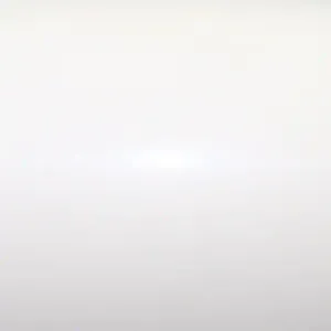 Laserdruck Etiketten Papier glänzend, (BxH)125mmx130m endlos, Kern:76mm ø203mm