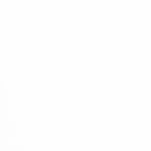 Inkjet Etiketten Coupon Papier Anhänger matt ohne Kleber, (BxH)85x32mm (3,3″x1,3″) rechteckig, Kern:38mm Ø152mm - Besucherausweise