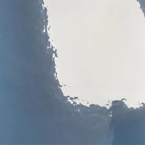 Inkjet Etiketten Polyester silber glänzend, (BxH)122mmx47m endlos, Kern:76mm ø152mm - LX610e