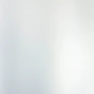 Inkjet Etiketten Polyester silber seidenmatt, (BxH)125mmx47m endlos, Kern:76mm ø152mm - LX610e