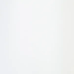 Inkjet Etiketten Papier Anhänger matt, ohne Kleber, (BxH)86mmx56m endlos, Kern:76mm ø152mm