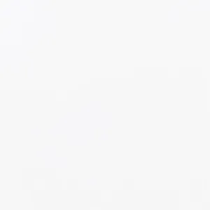 Inkjet Etiketten Polyester Permatec seidenmatt, (BxH)102x76mm (4″x3″) rechteckig, Kern:76mm ø152mm, 500 Etiketten/Rolle