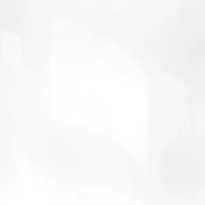 Inkjet Etiketten Polyester weiß glänzend, (BxH)76mmx29m endlos, Kern:40mm ø100mm