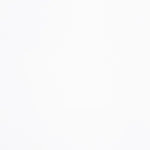 Inkjet Etiketten Polyester weiß matt, (BxH)102x152mm (4