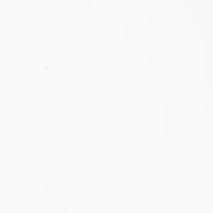 Inkjet Etiketten Polyester weiß Advanced matt, (BxH)102x51mm (4“x2“) rechteckig, Kern:51mm ø127mm, 1000 Etiketten/Rolle