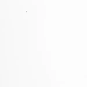 Inkjet Etiketten Polyester weiß matt BS-Zertifiziert, (BxH)122mmx47m (4,8″x1,9″) rechteckig, Kern:76mm ø152mm,  Etiketten/Rolle - LX610e