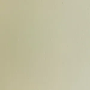 Laserdruck Etiketten Papier Antique creme matt, (BxH)216mmx300m endlos, Kern:76mm ø305mm - CX1000/1200e