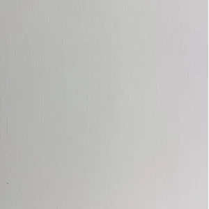 Laserdruck Etiketten Papier Antique weiß matt, (BxH)216mmx300m endlos, Kern:76mm ø305mm - CX1000/1200e