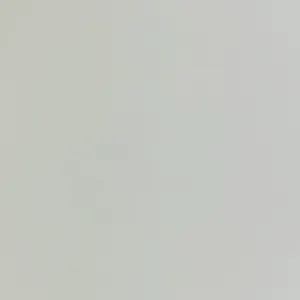 Laserdruck Etiketten Papier Multiprint weiß, (BxH)216mmx300m endlos, Kern:76mm ø305mm - CX1000/1200e