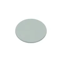 Disc Tag in der Größe 22x3mm mit dem Chip EM4102 (wiederbeschreibbar)
